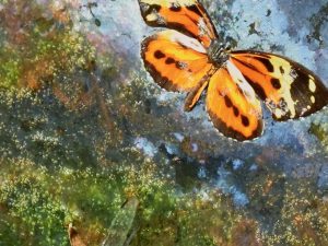 Home Page Photography for Sale