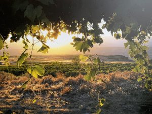 Home Page Photography for Sale