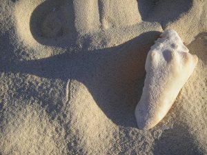 Home Page Photography for Sale