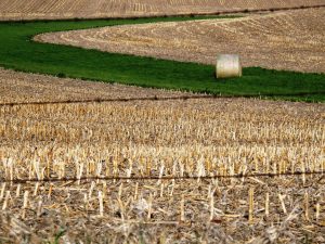 Journey of a Haystack