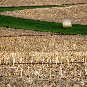 Journey of a Haystack