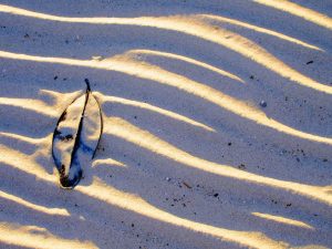 Leaf Beach Attraction