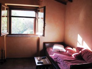Window to Peace