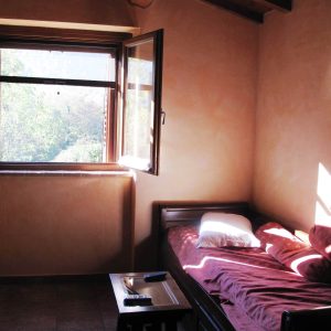 Window to Peace