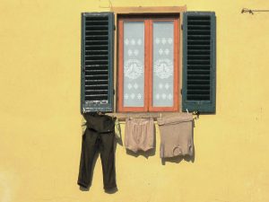 Yellow Window