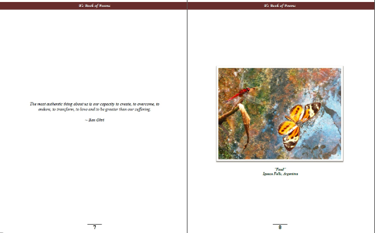 Brittney Johnson's eBook